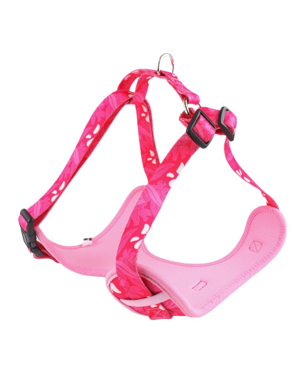Kit pet it! Rosa