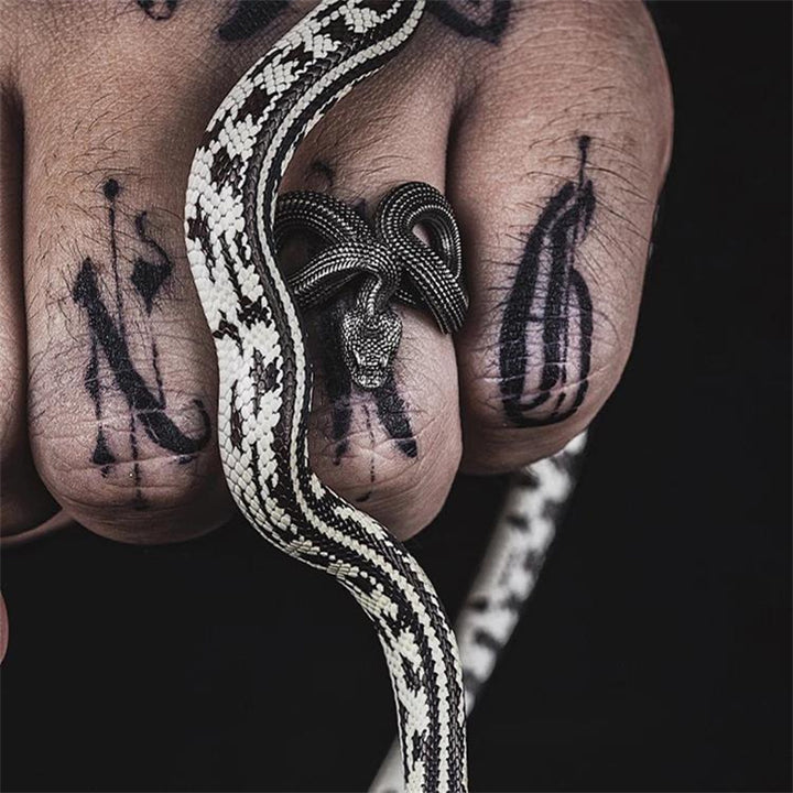 Anillo de Serpiente de paladio