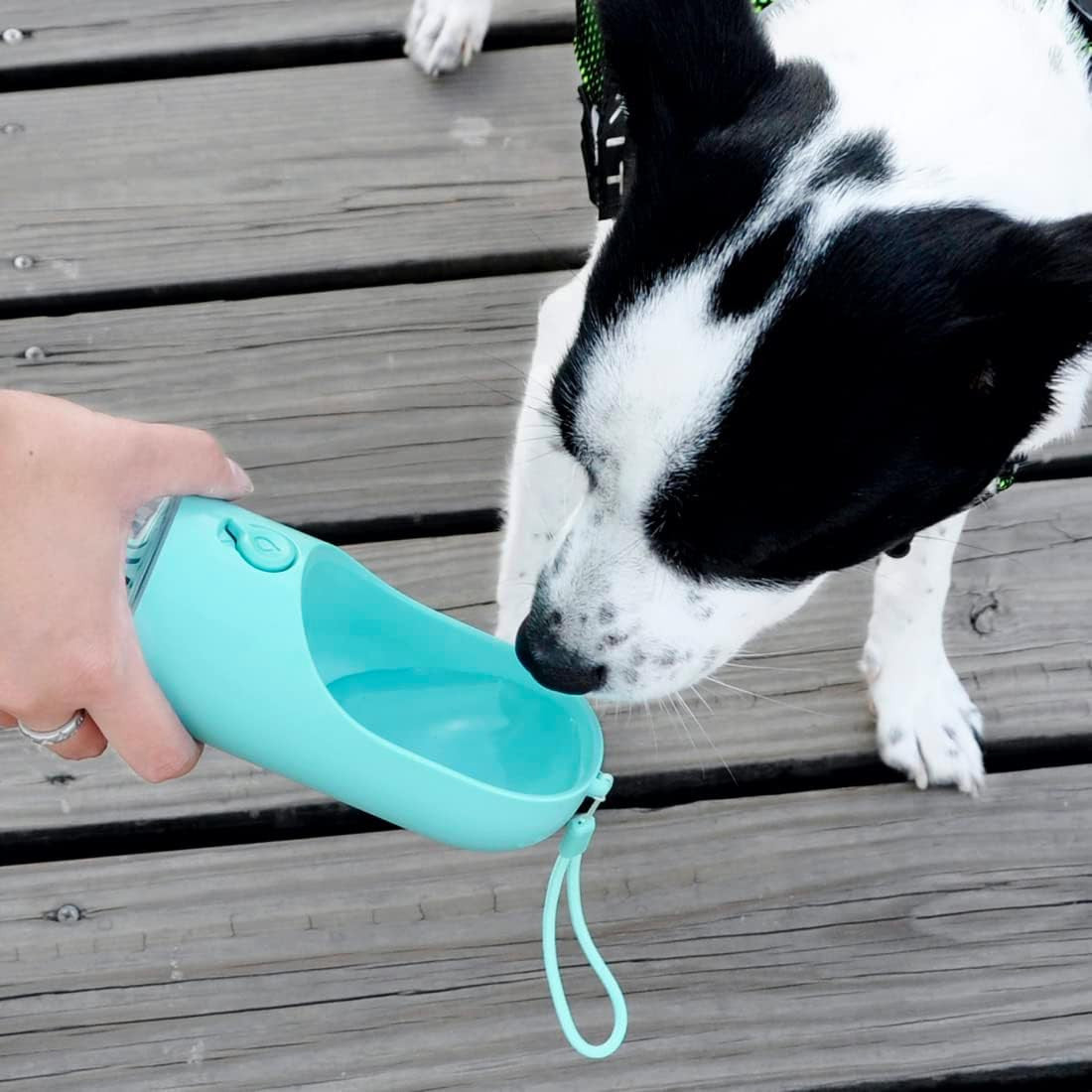 🚰 Botella de Agua Portátil para Perro: Mantén a tu Compañero Peludo Hidratado en Cualquier Momento 🐾🐶🚰