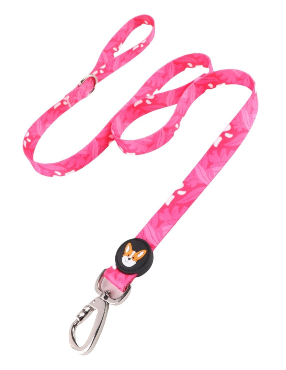Kit pet it! Rosa