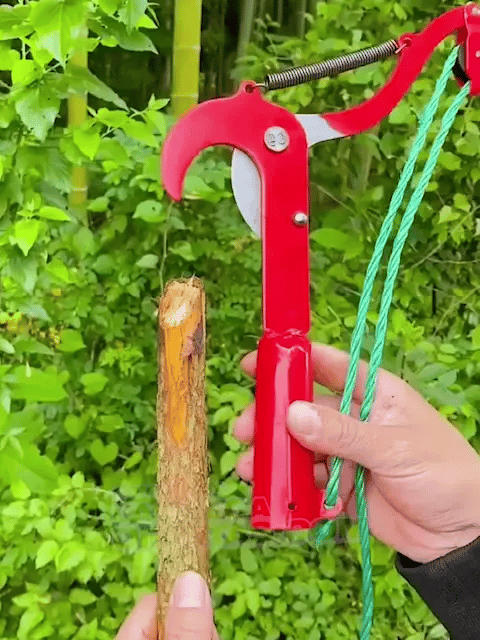 Tijeras Cortadoras de Rama Jardinería – Corte Fácil y Preciso