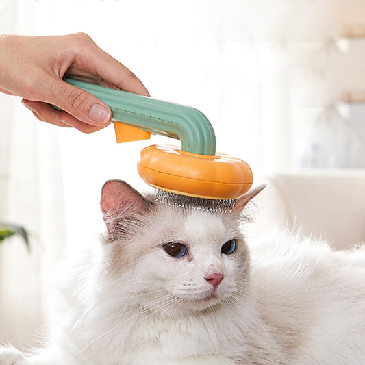 BRUSHY™ CEPILLO PARA PELUSAS