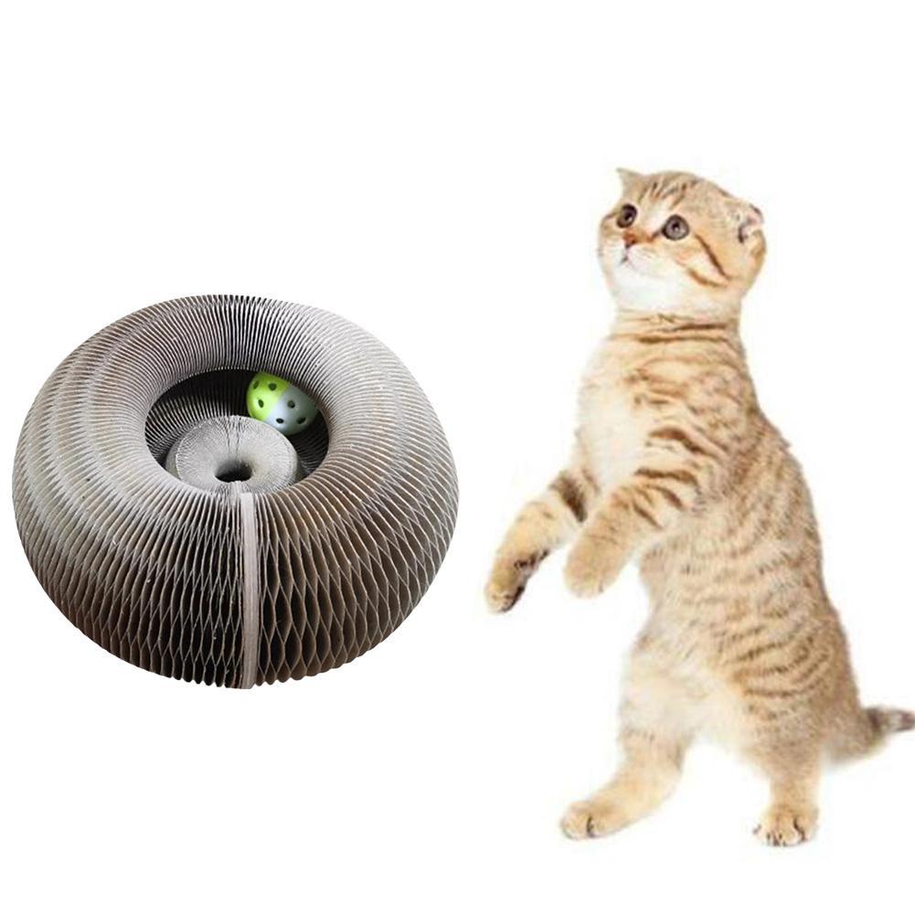 Snuffle™ Acordeón multifunción para gatitos